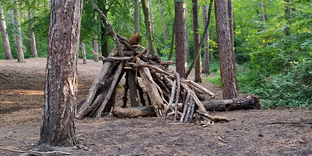 Speelbos