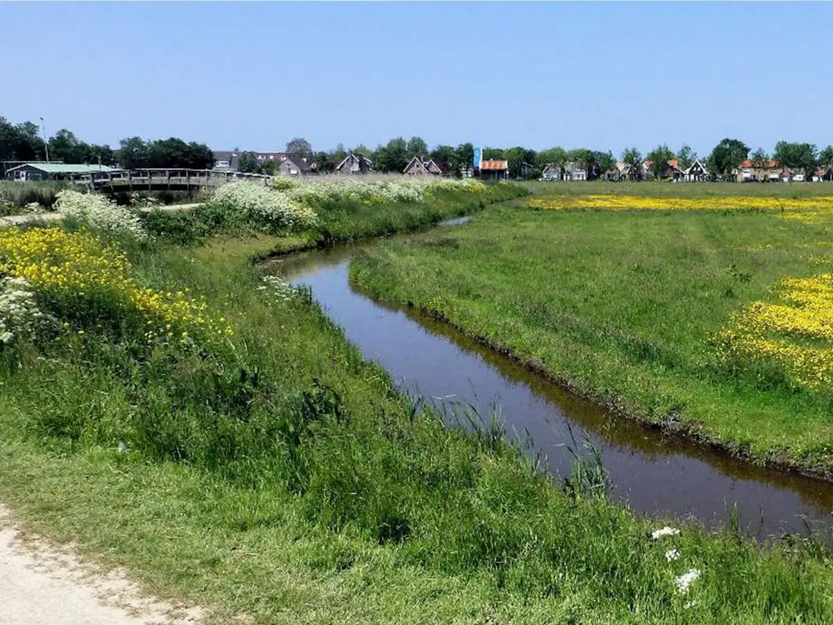Wandelpad langs weilanden en slootje