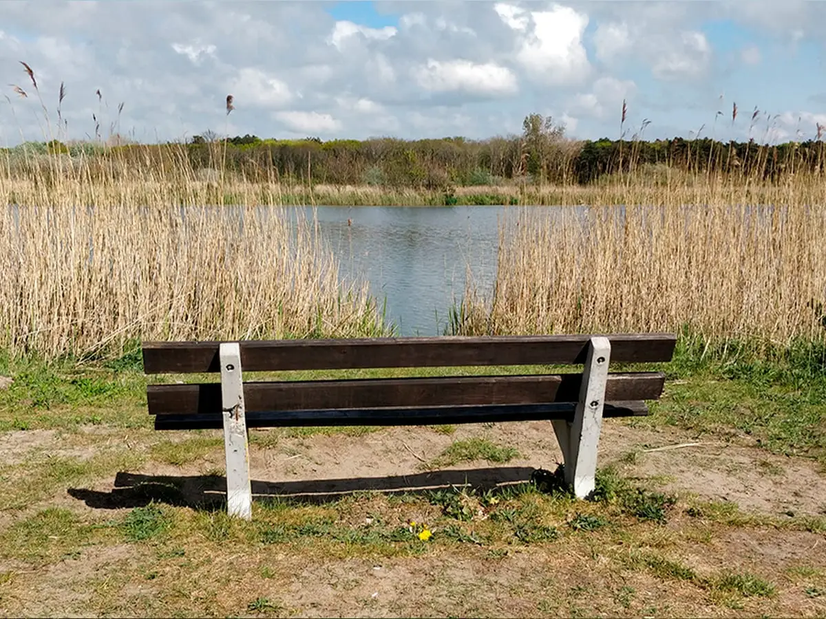 Bankje aan duinmeer