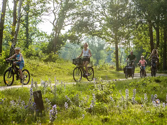 Familie radelt durch den Wald