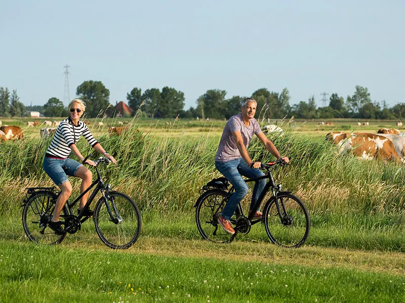 Fietsen langs de weilanden