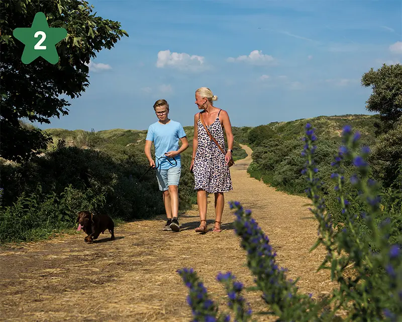 Mutter und Sohn gehen mit dem Hund durch die Düne