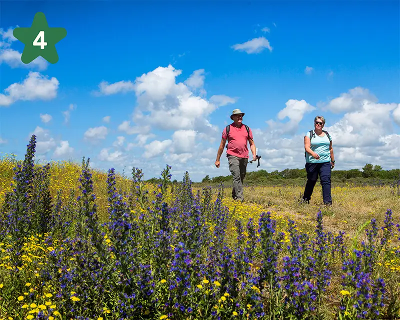 Man en vrouw wandelen in het waterwingebied