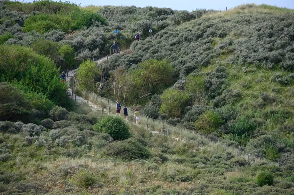 Wandelen in de duinen