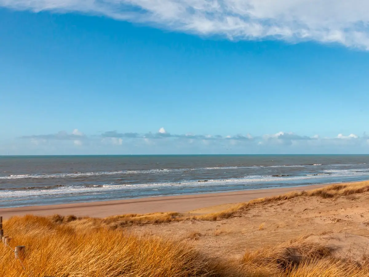 Duinen van Castricum