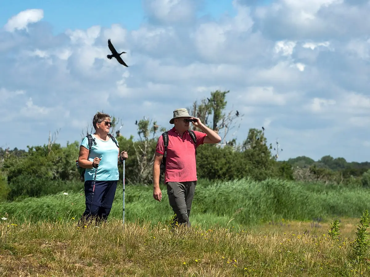 Wandelaars in het waterwingebied in Castricum