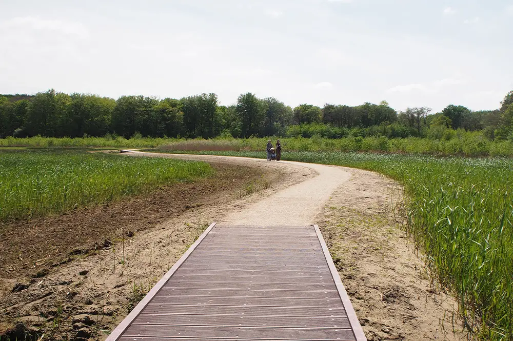 Bruggetje over het wandelpad