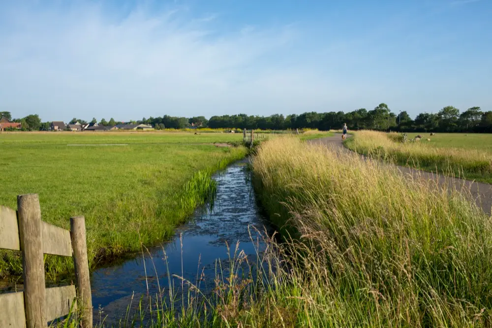 Natuur en landschap
