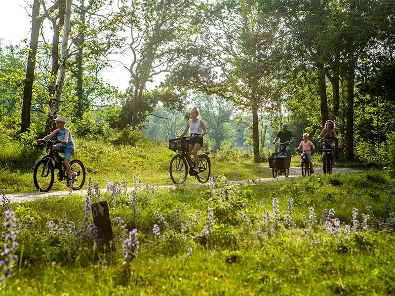 Fietsend gezin door de duinen
