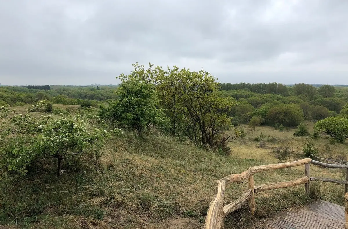 Eén van de landschappen van het Oer-IJ