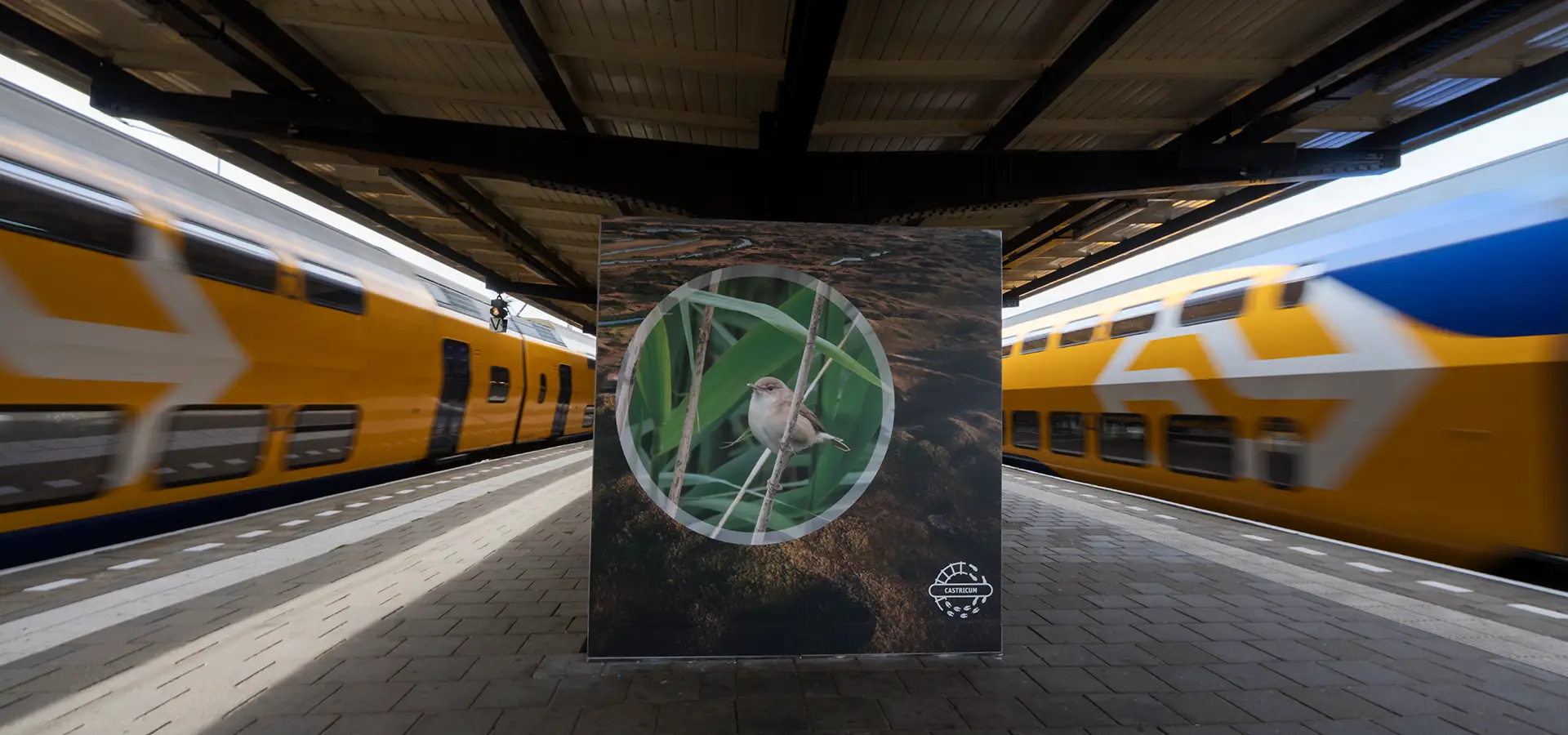Station Castricum met in het midden een uiting van Buitenpoort