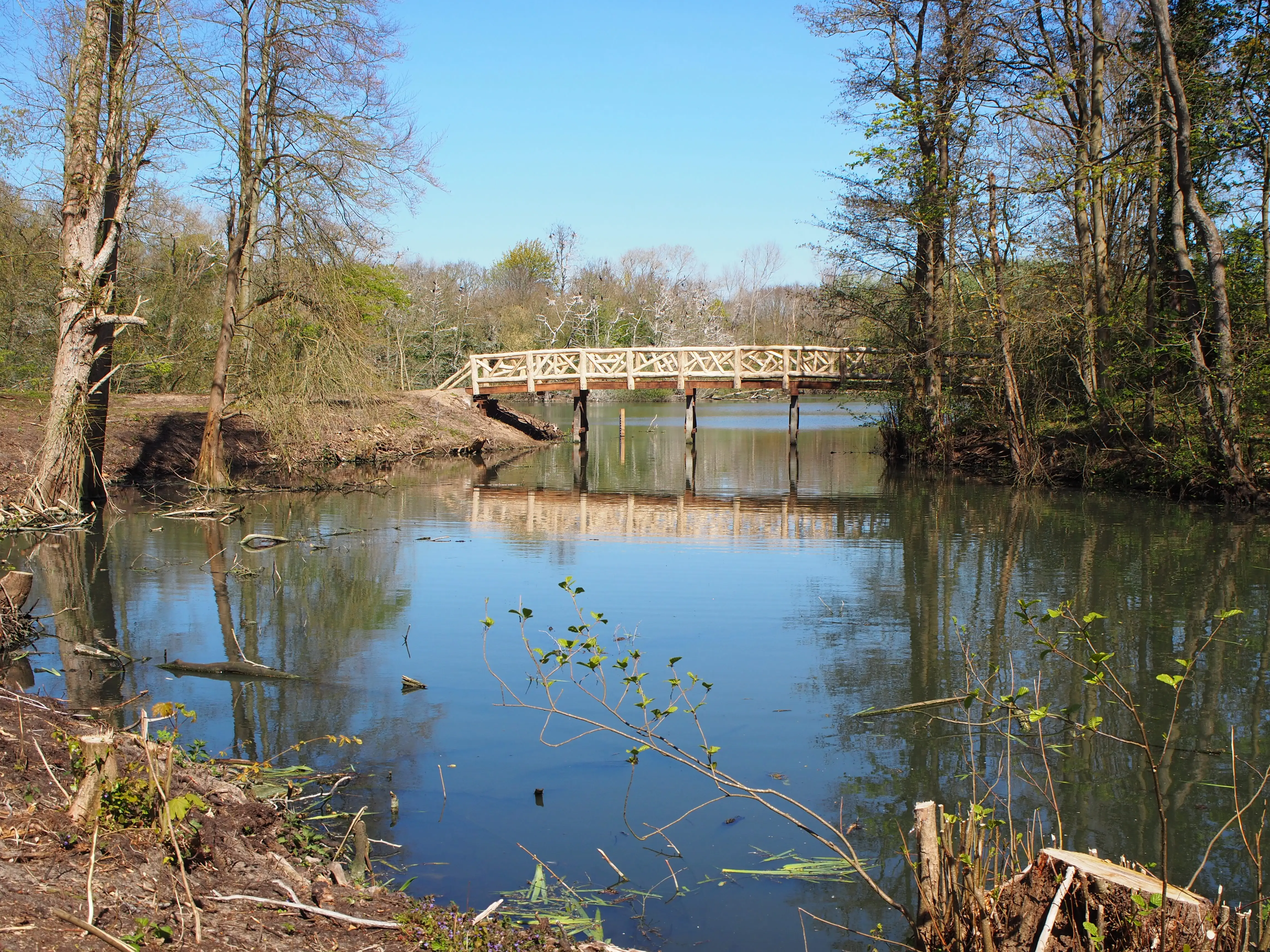 De kippenbrug