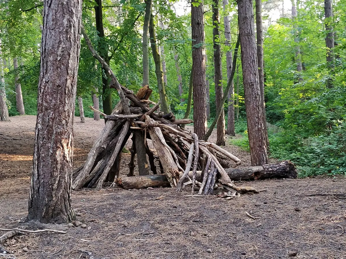 Een creatie van takken in het bos