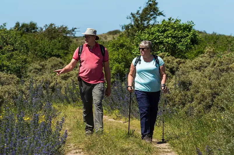 Stel wandelaars in het bosreservaat