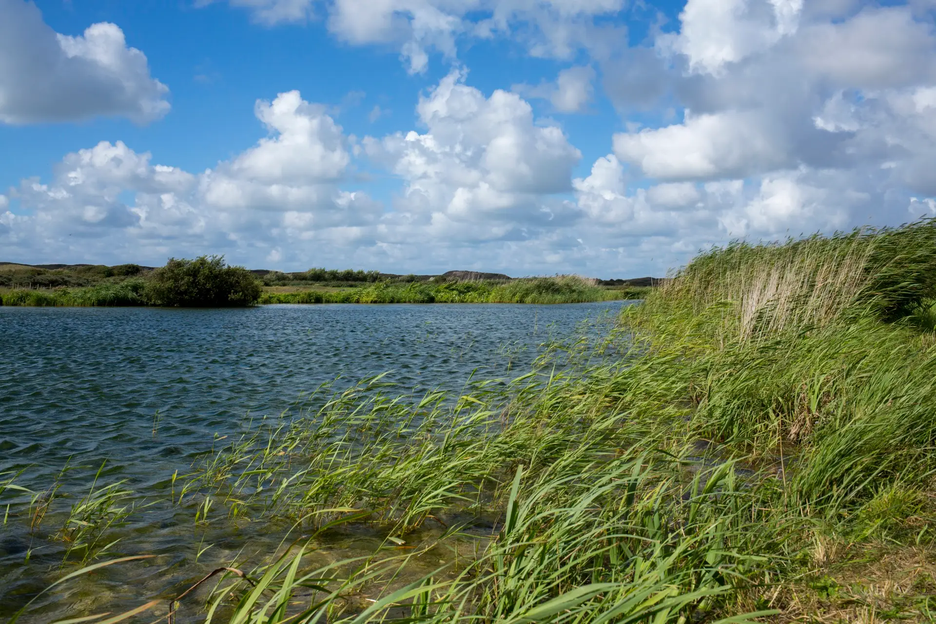 Water in de duinen