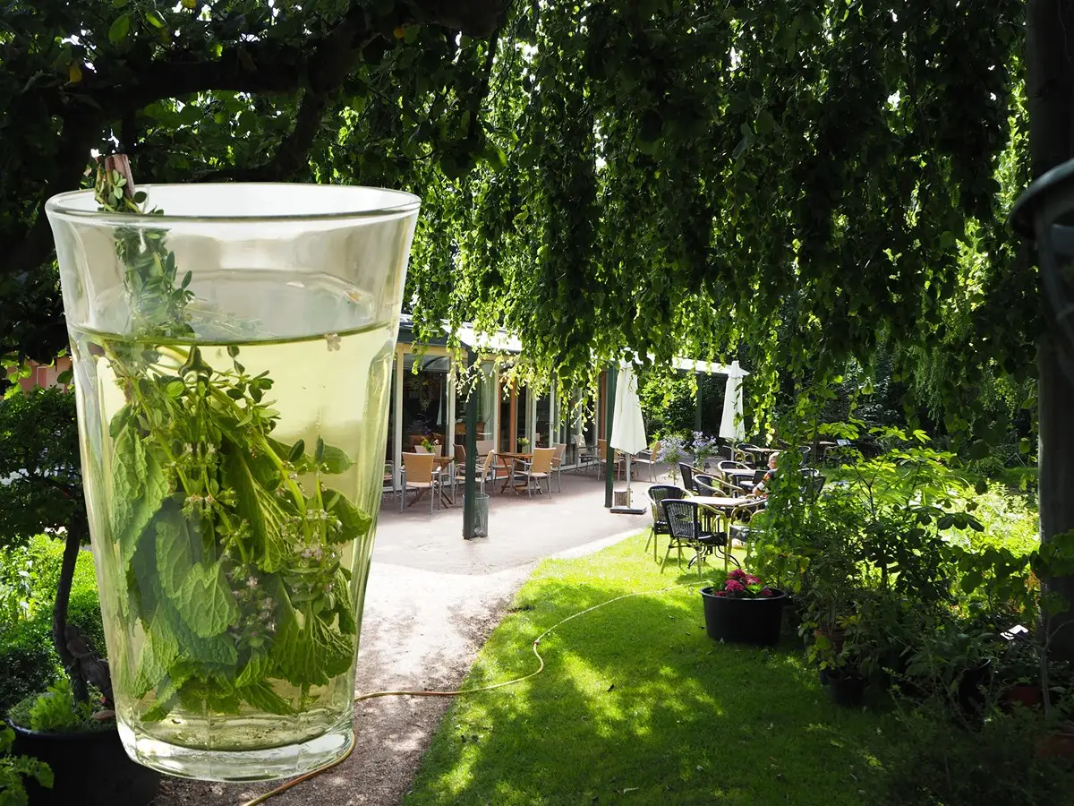 Verse thee met op de achtergrond de Tuin van Kapitein Rommel