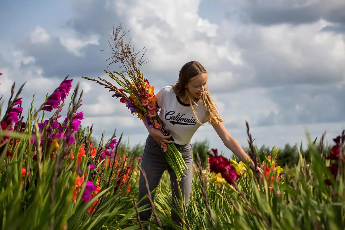 Iemand die bloemen aan het plukken is
