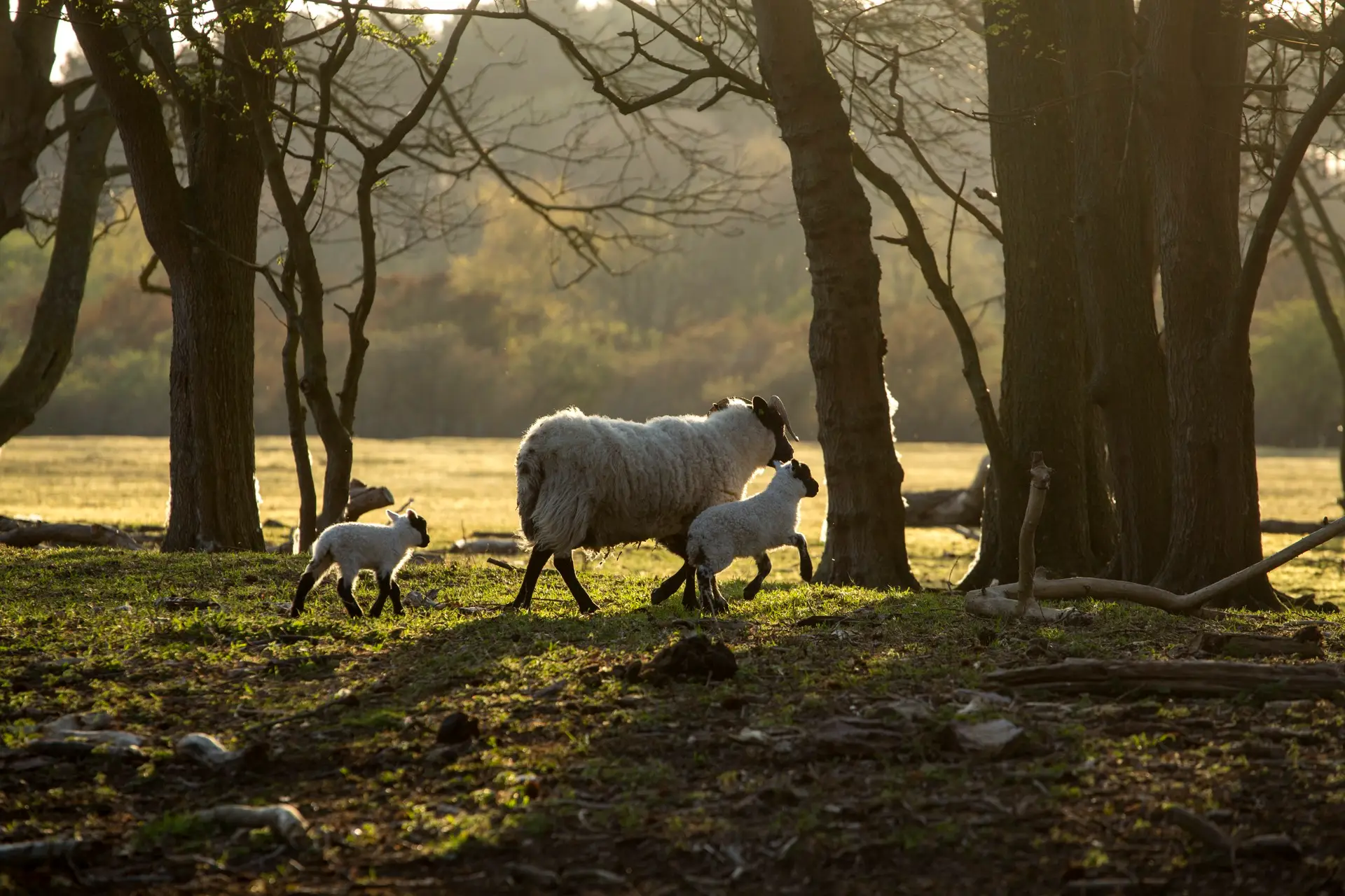Voorjaarsvakantie in Castricum