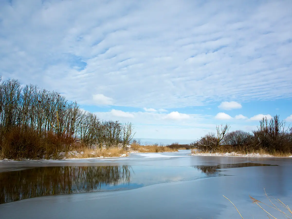 Duinmeer in de winter
