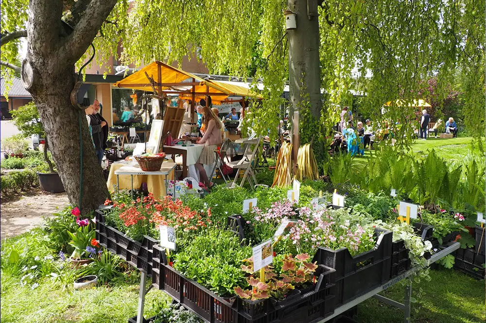 Kramen met planten en bloemenstekjes