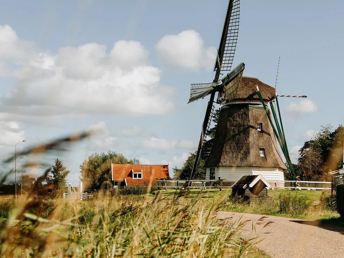De molen met op de voorgrond een typisch polderpaadje