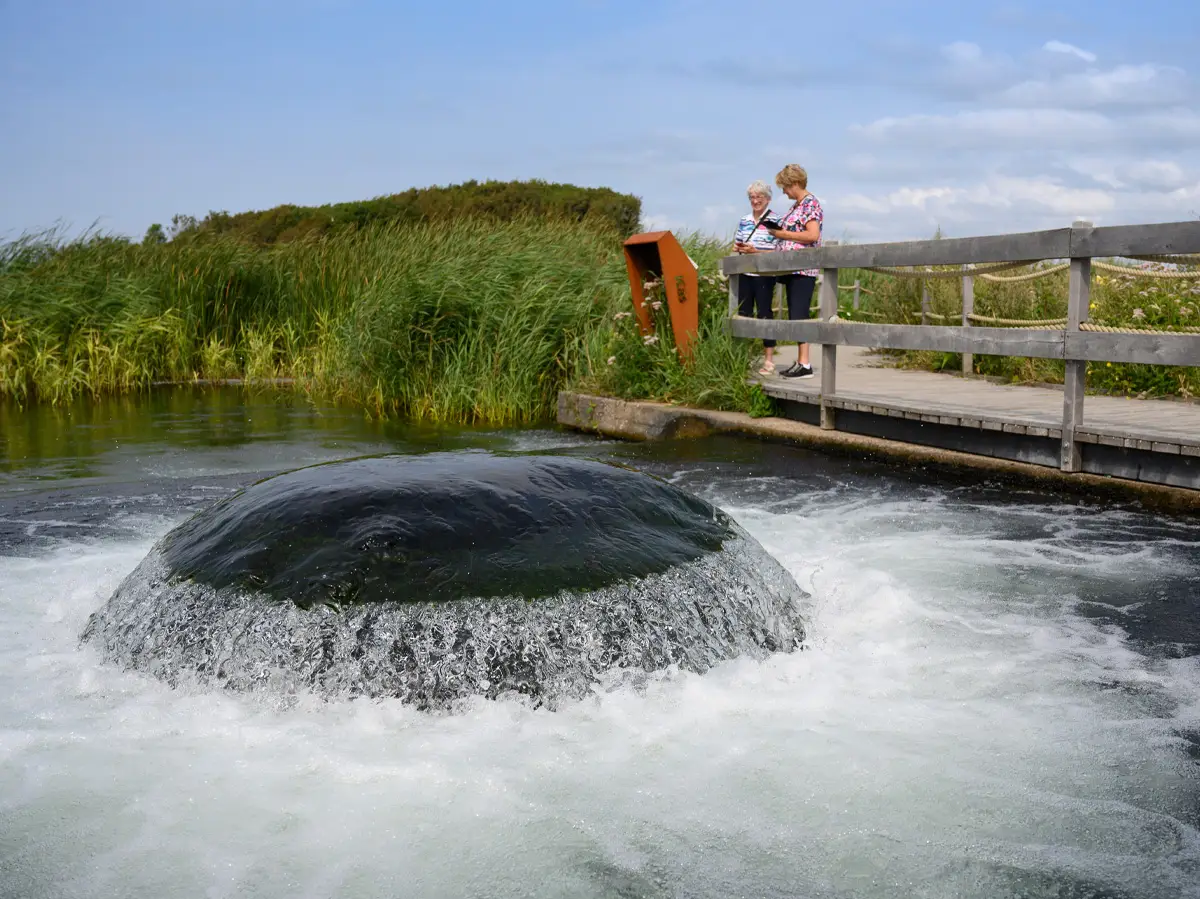 Wandelen bij de kwal in de duinen