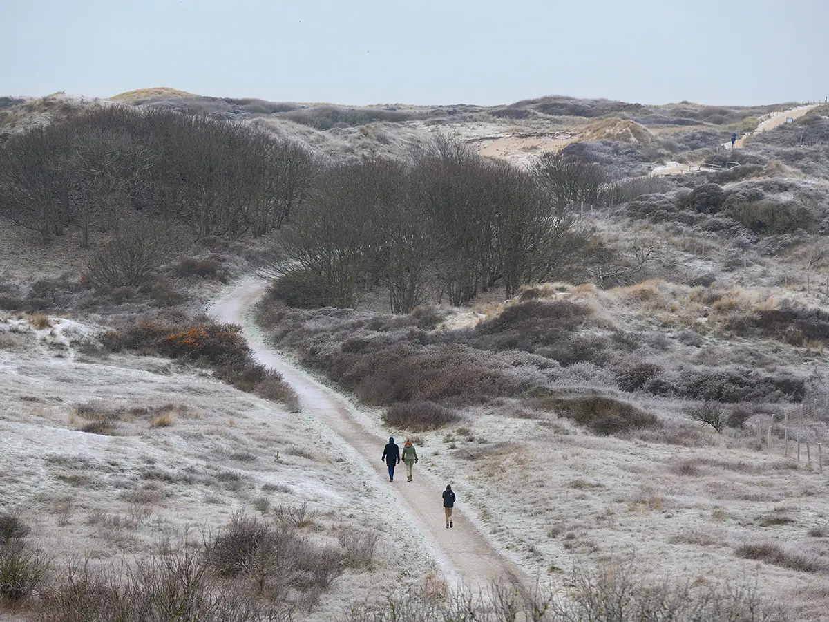 Duinen in de winter met wandelaars