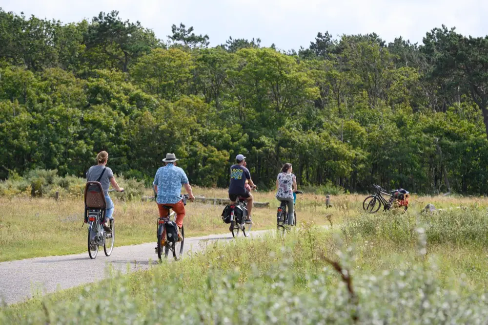 Fietsers in de duinen
