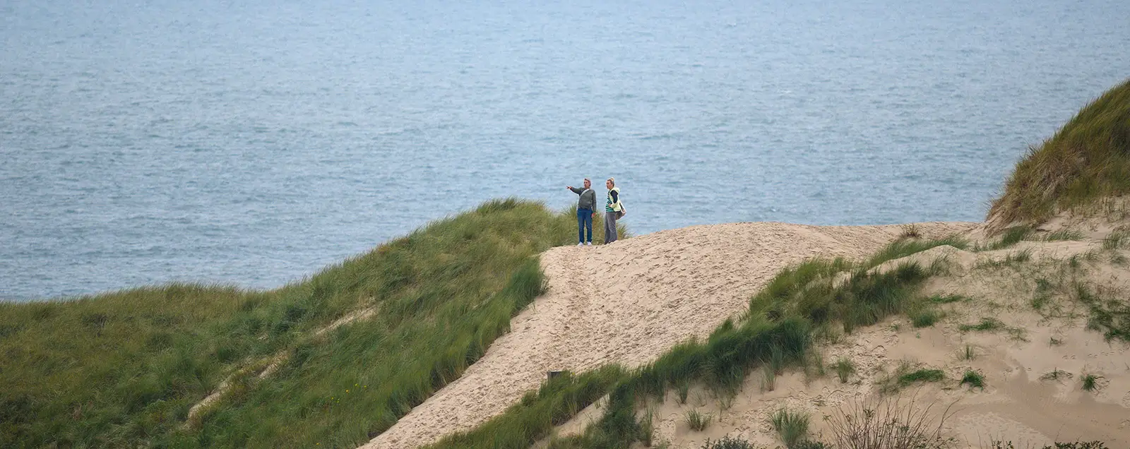 Bovenop de duinen
