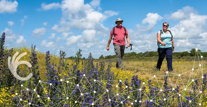 Wandelaars in het Noord-Hollands duingebied
