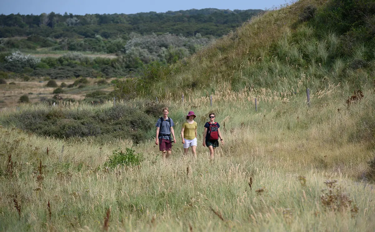 Wandelaars in het Noord-Hollands duingebied