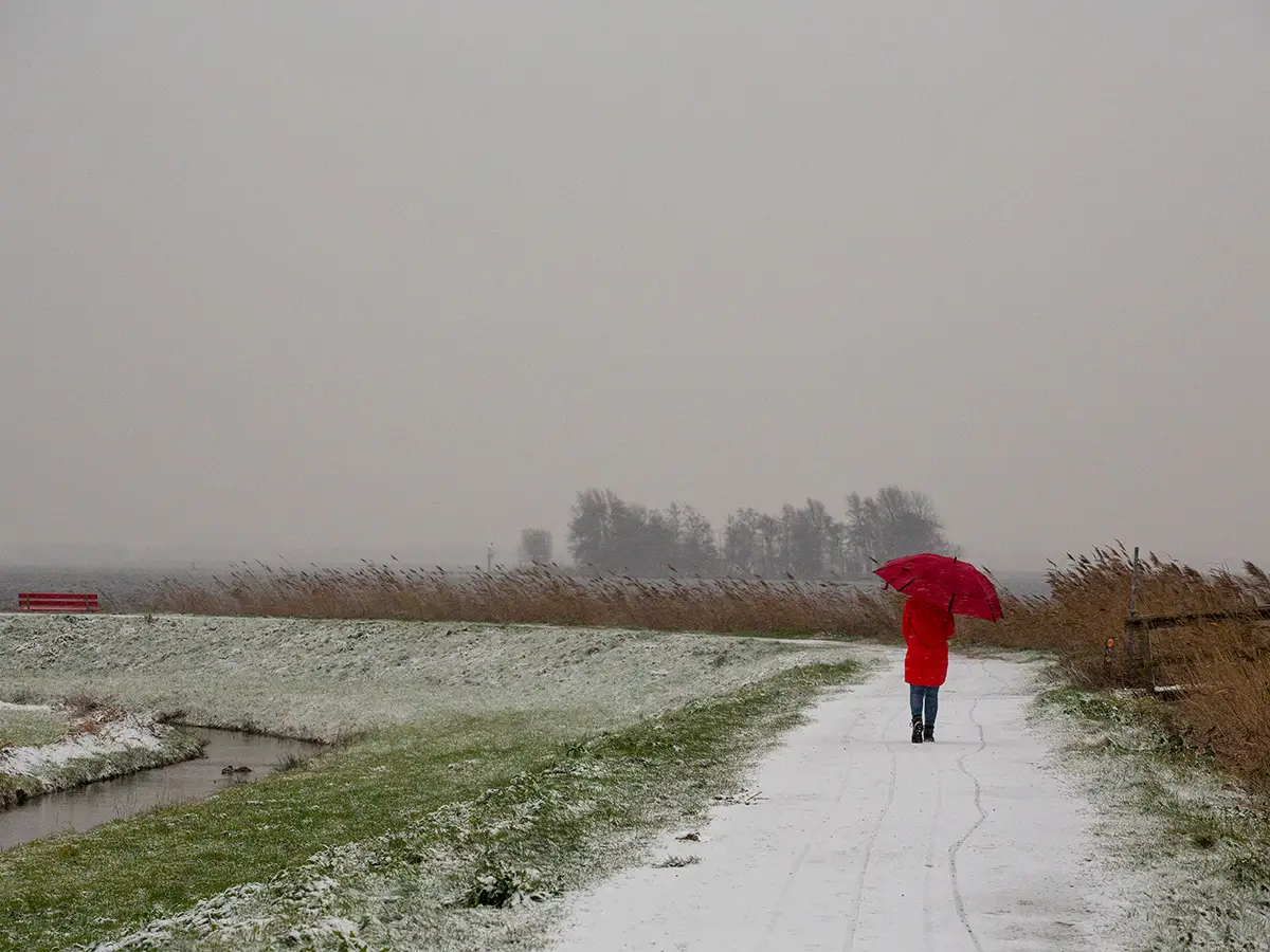 Polderlandschap in de winter met persoon met rode jas en rode paraplu