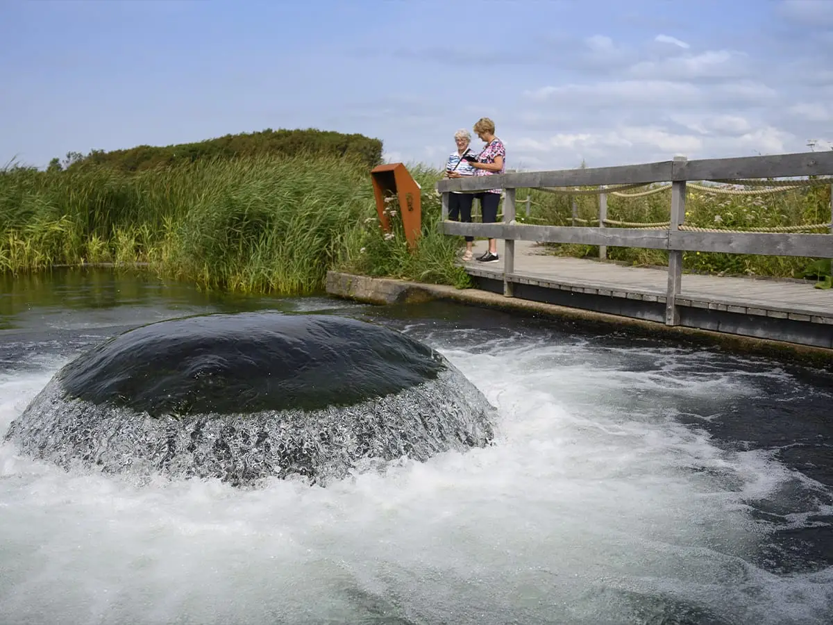 Twee vrouwen bij de kwal met duinwater