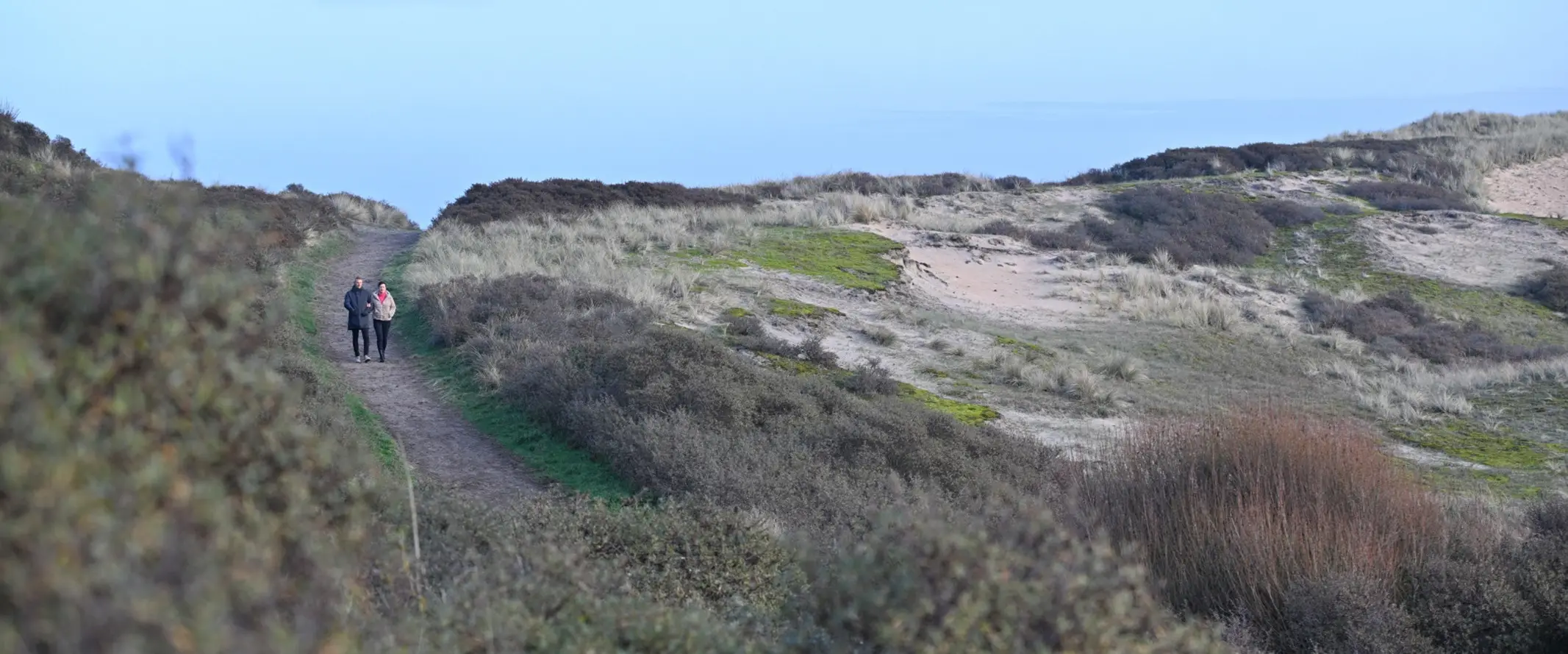 Weids uitzicht van de duinen