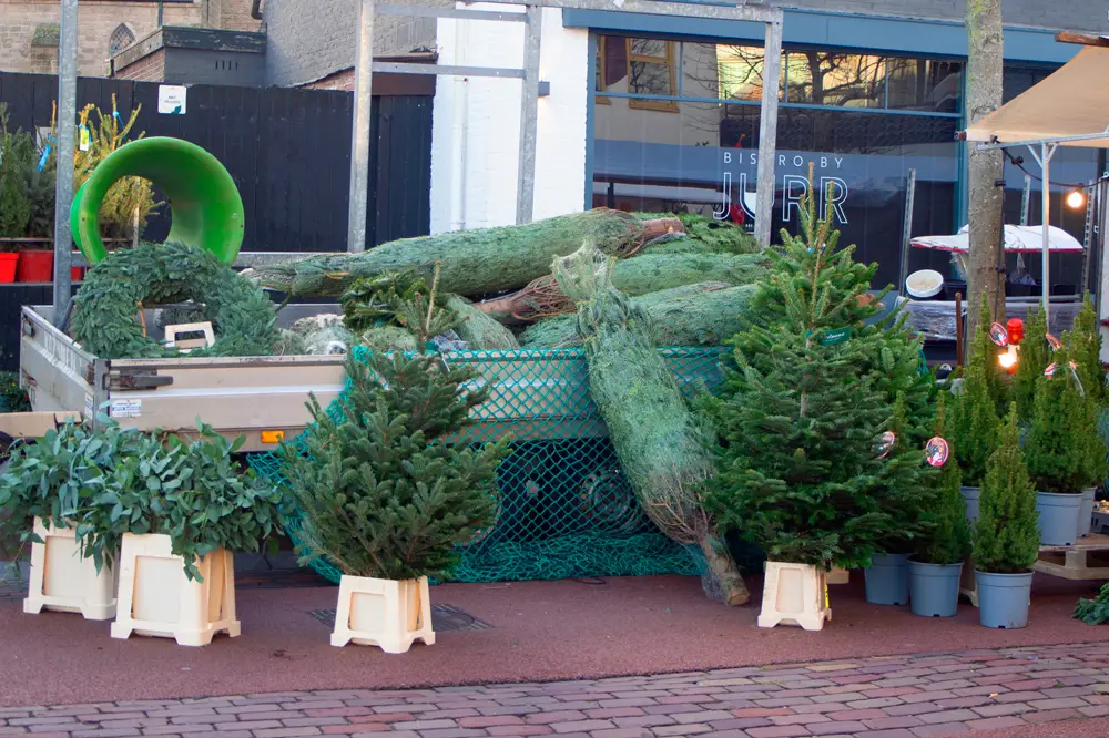 Kerstbomen bij marktkraam