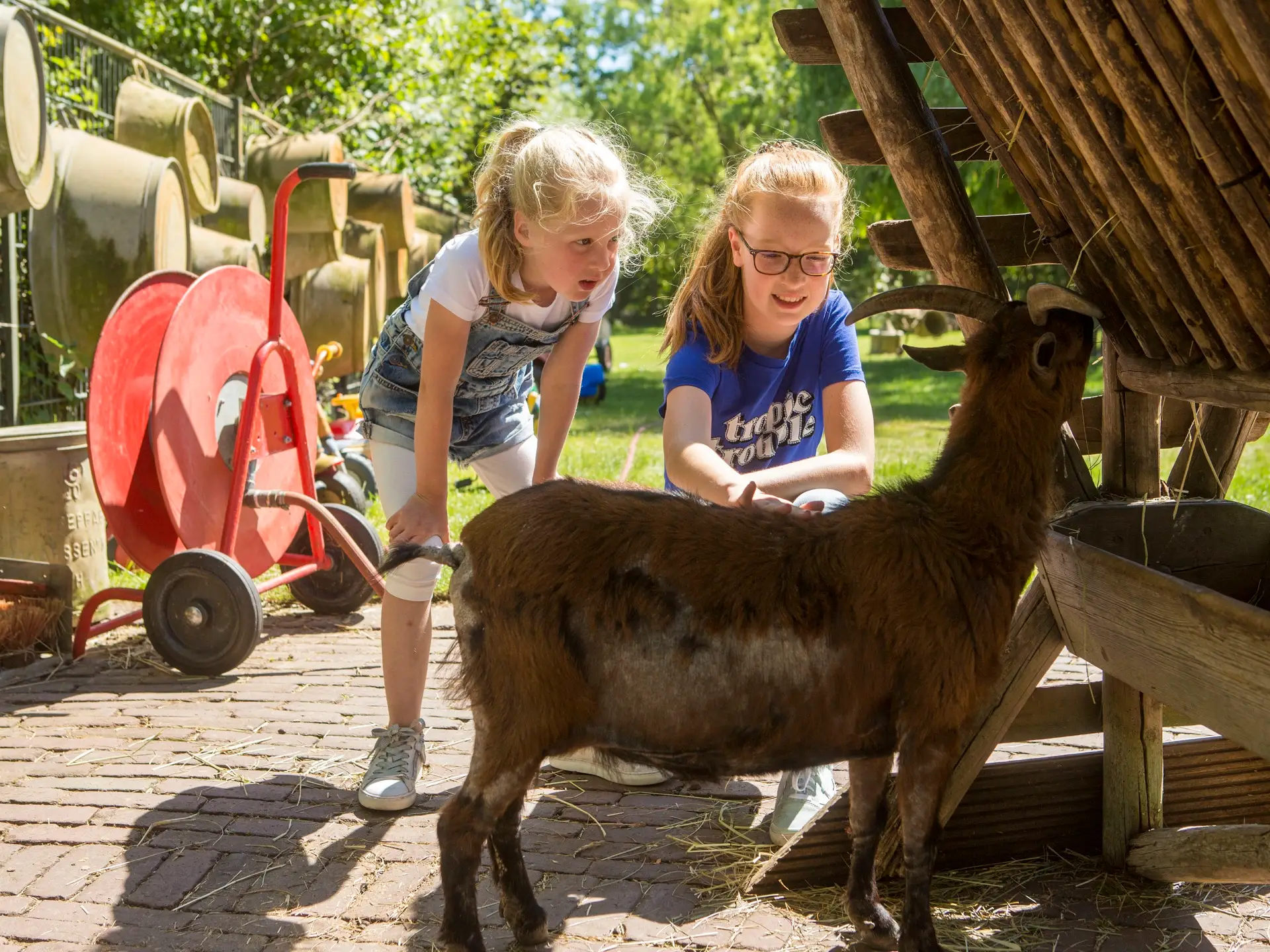 Twee kinderen die een geit aaien op de kinderboerderij