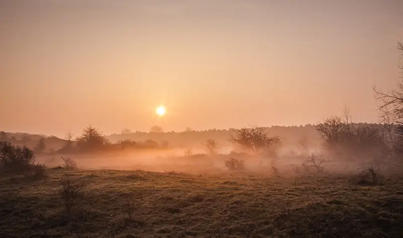 Zonsopkomst in de duinen van Bakkum