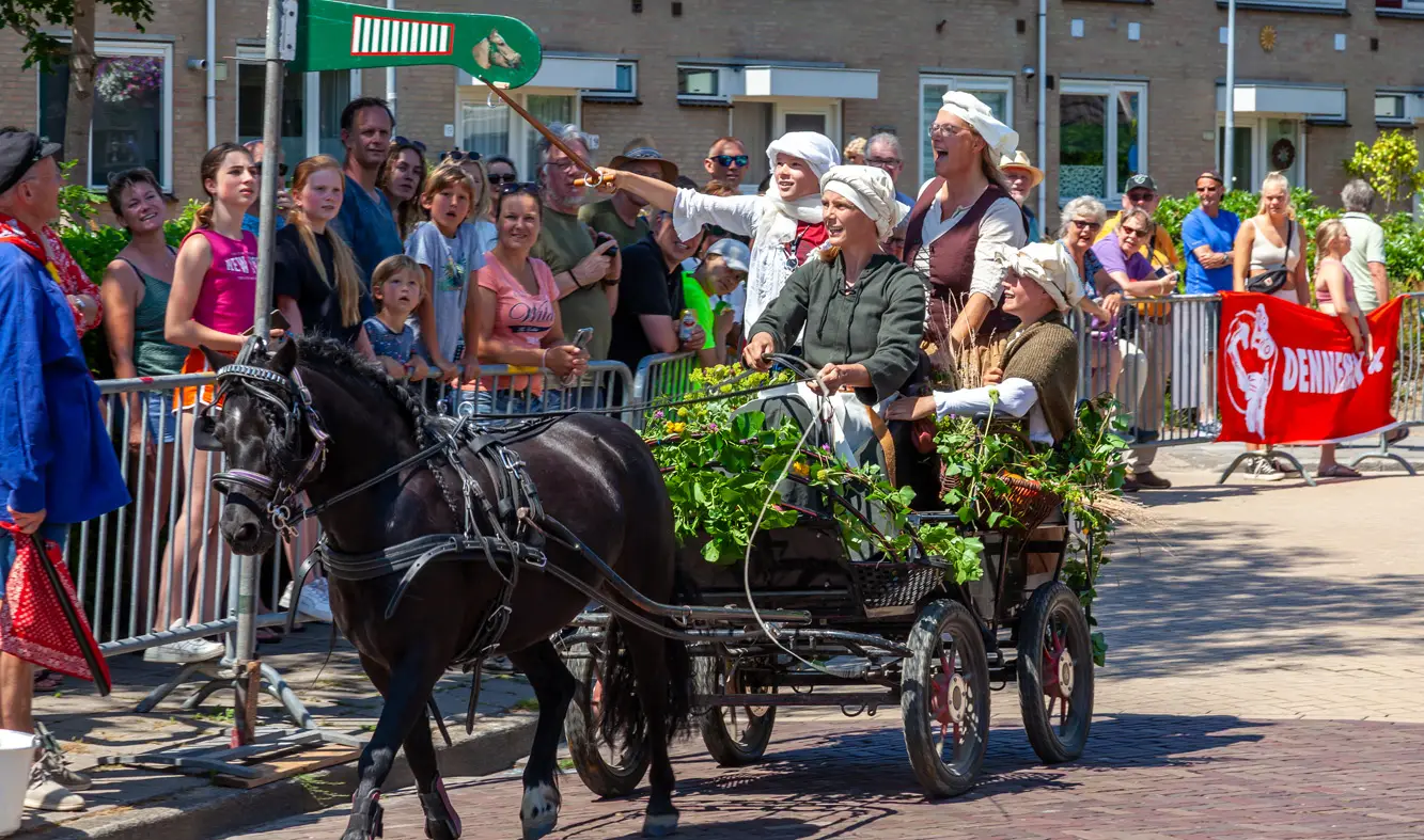 Pony met kar waarom een dame aan het ringsteken is.