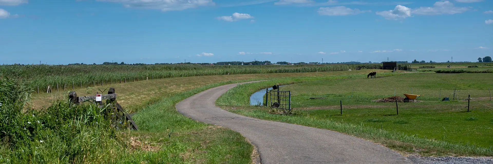 Een kronkelende weg met landerijen