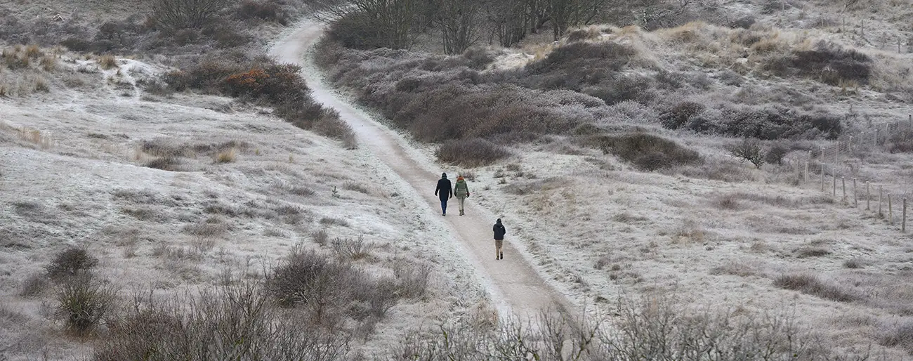 Winters wandelen