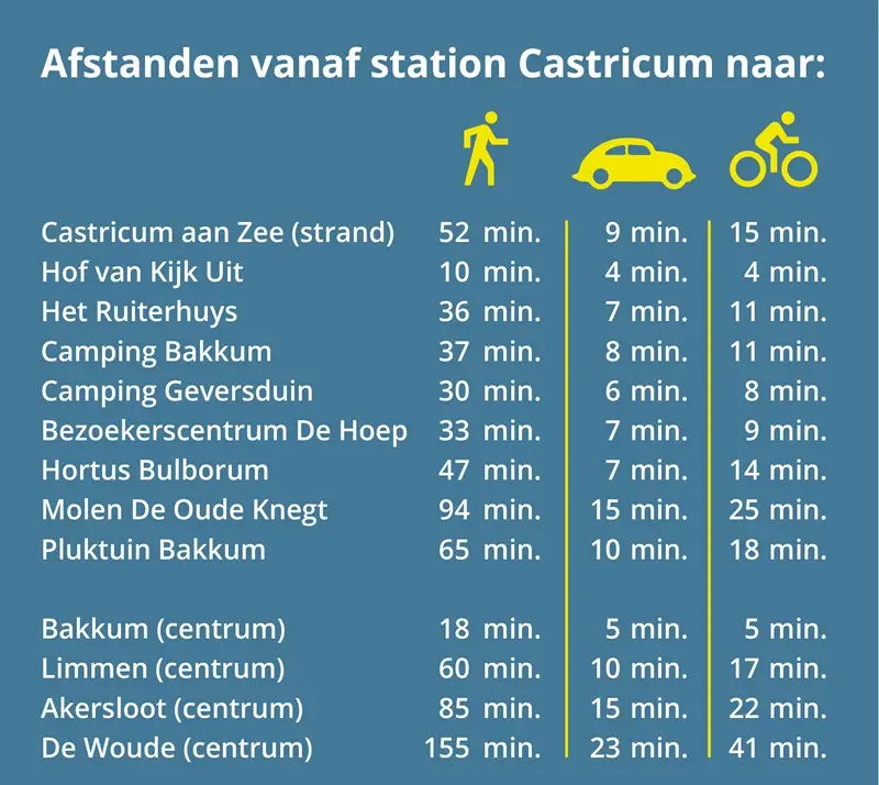 Toegankelijke versie van deze tabel in de tekst.