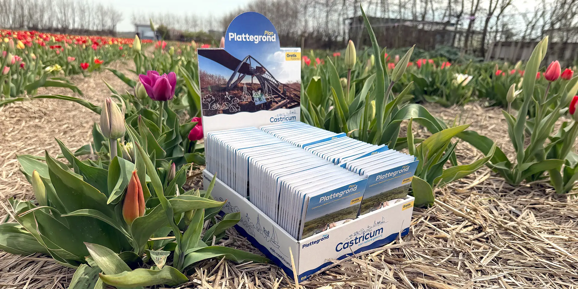 Eine Anzeige mit Kartenmaterial ist in