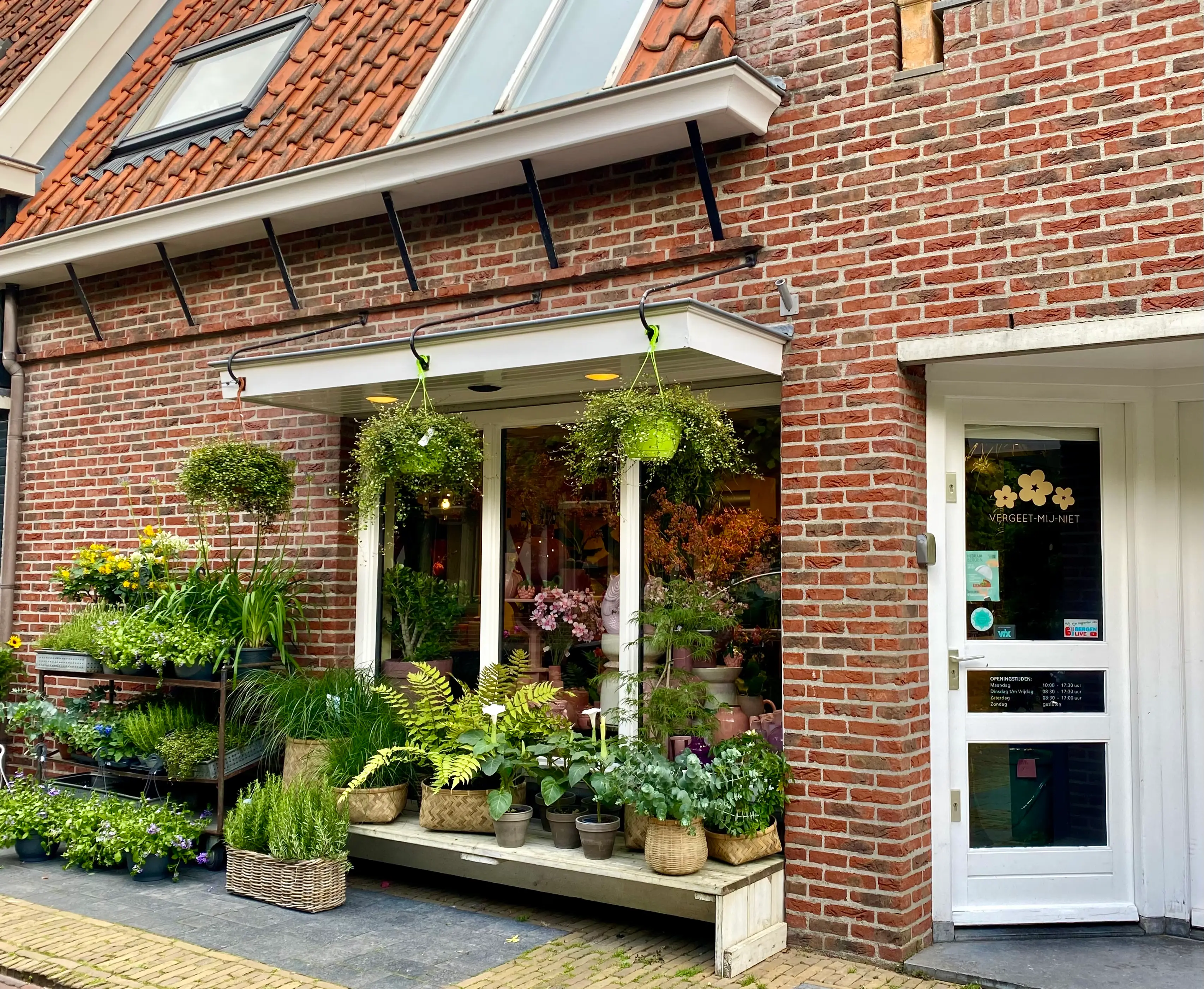 Veel tulpen in roze, wit, geel en oranje