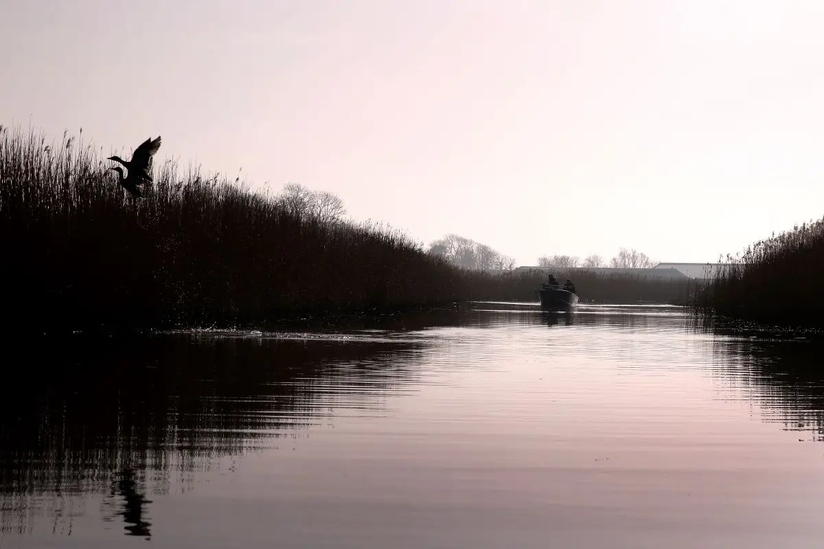 Een mistig beeld van een varend stel in een bootje door de polder en sloten met riet langs de zijkant