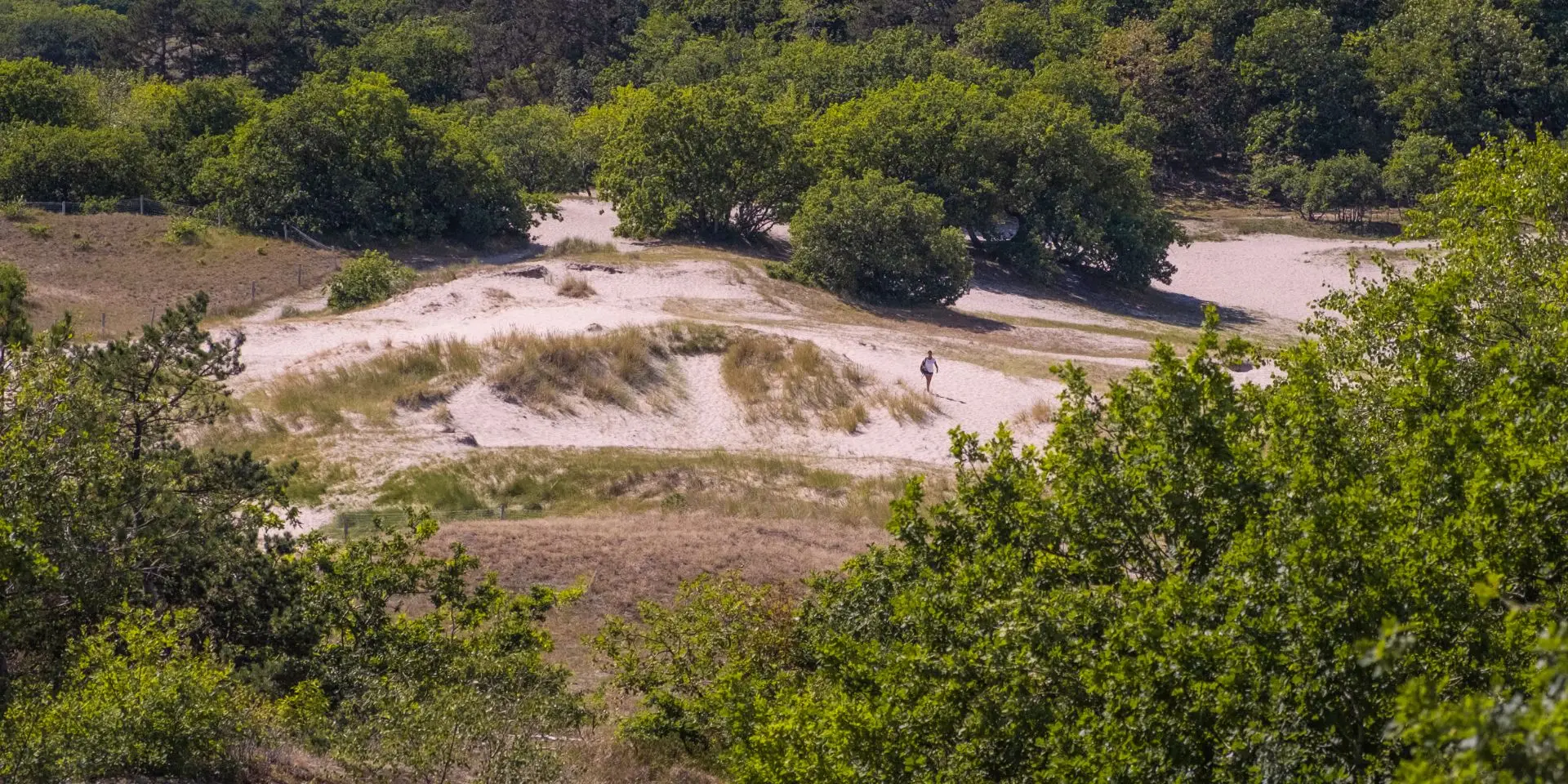 Man wandelend door de duinen in bergen