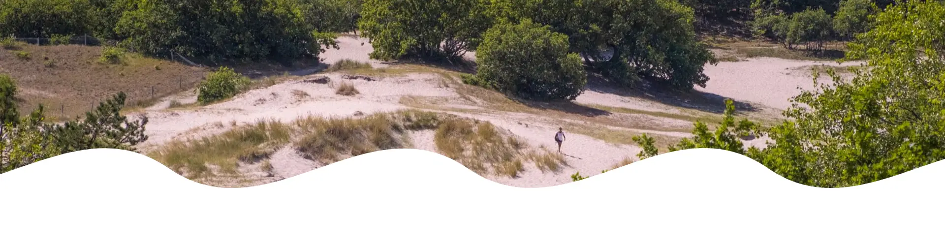 Mann wandert durch die Dünen von Bergen aan zee