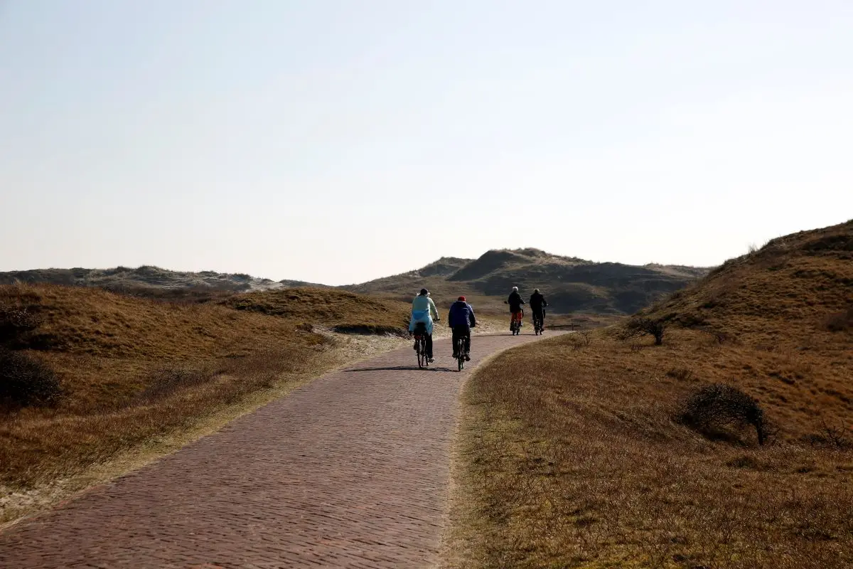 fietspad door de duinen met fietsers