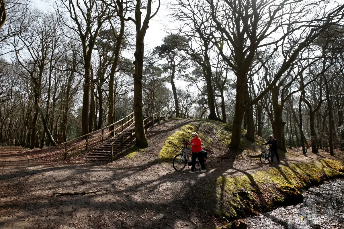 Fietsroute door het bos