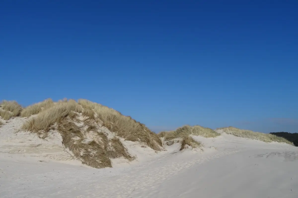 Witte zandduinen route