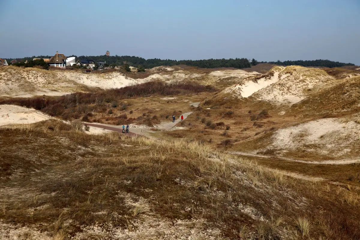 de Duinen in Bergen